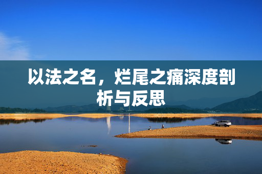 以法之名，烂尾之痛深度剖析与反思