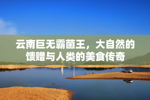 云南巨无霸菌王，大自然的馈赠与人类的美食传奇