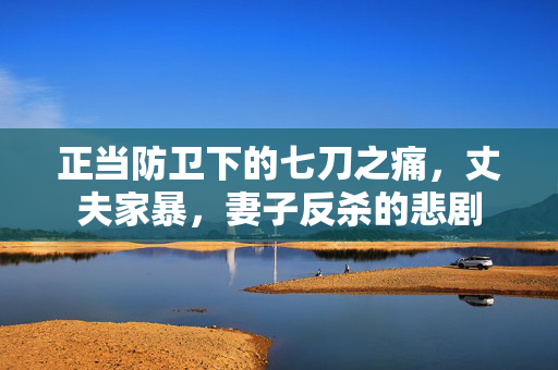 正当防卫下的七刀之痛，丈夫家暴，妻子反杀的悲剧