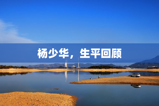 杨少华，生平回顾