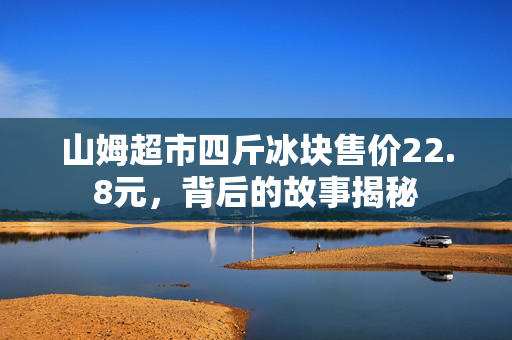 山姆超市四斤冰块售价22.8元，背后的故事揭秘