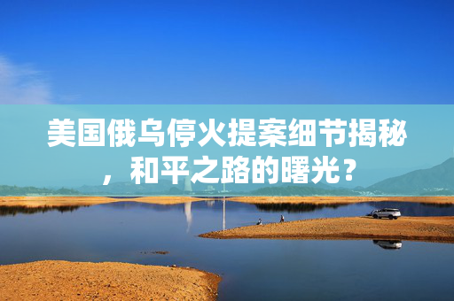 美国俄乌停火提案细节揭秘，和平之路的曙光？