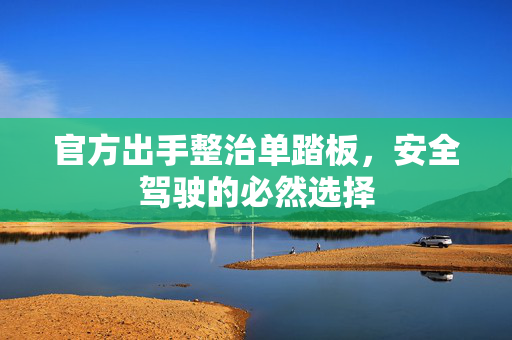 官方出手整治单踏板，安全驾驶的必然选择
