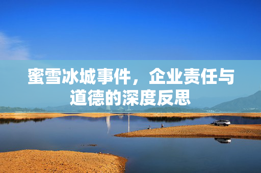 蜜雪冰城事件，企业责任与道德的深度反思