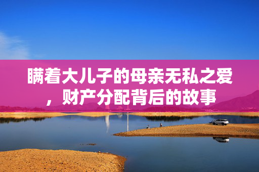 瞒着大儿子的母亲无私之爱，财产分配背后的故事