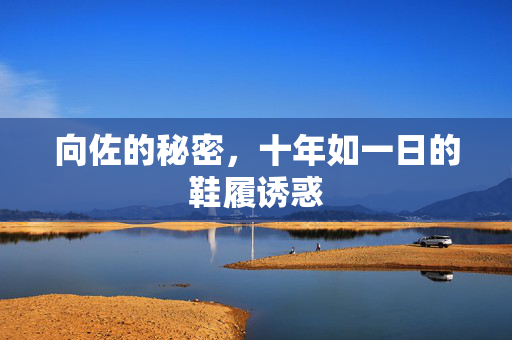 向佐的秘密，十年如一日的鞋履诱惑