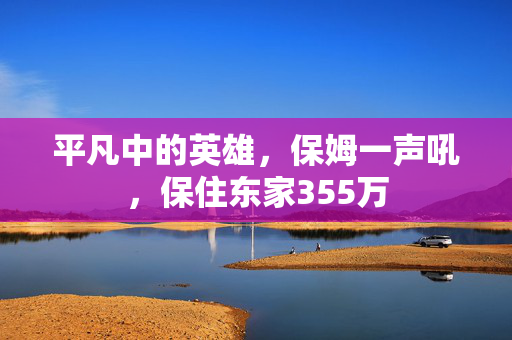 平凡中的英雄，保姆一声吼，保住东家355万