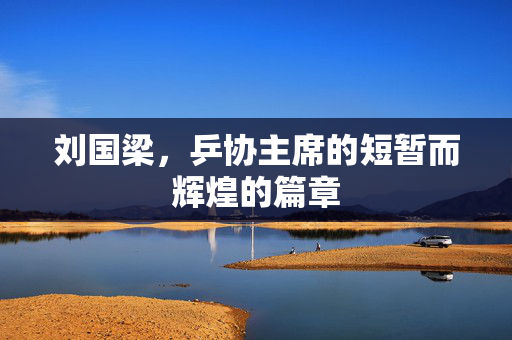 刘国梁，乒协主席的短暂而辉煌的篇章