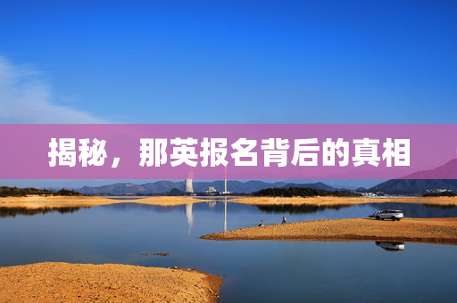 揭秘，那英报名背后的真相