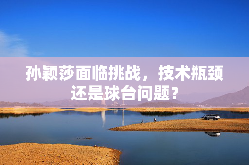 孙颖莎面临挑战，技术瓶颈还是球台问题？