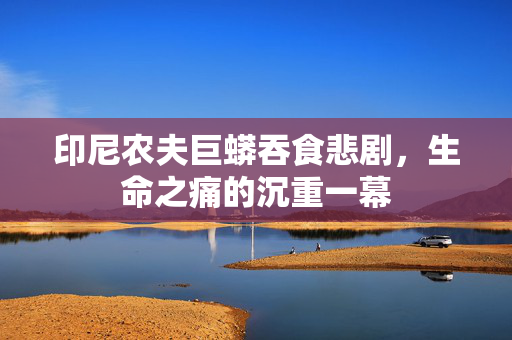 印尼农夫巨蟒吞食悲剧，生命之痛的沉重一幕