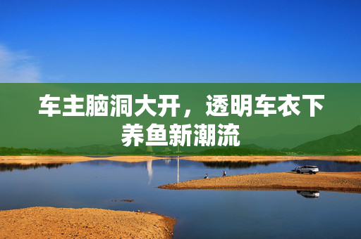 车主脑洞大开，透明车衣下养鱼新潮流