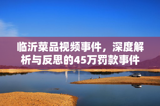 临沂菜品视频事件，深度解析与反思的45万罚款事件