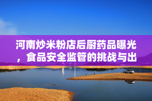河南炒米粉店后厨药品曝光，食品安全监管的挑战与出路