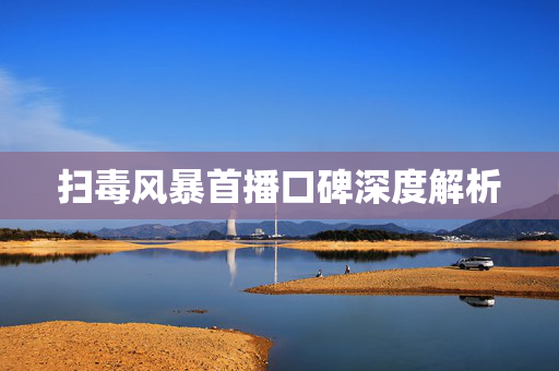 扫毒风暴首播口碑深度解析