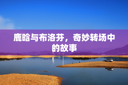 鹿晗与布洛芬，奇妙转场中的故事