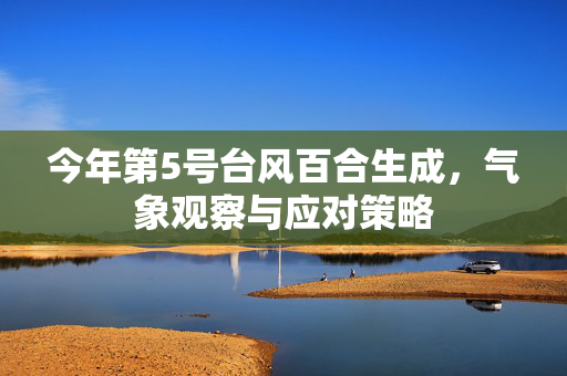 今年第5号台风百合生成，气象观察与应对策略
