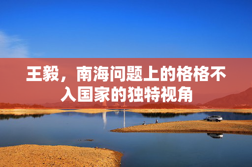 王毅，南海问题上的格格不入国家的独特视角
