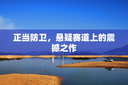 正当防卫，悬疑赛道上的震撼之作