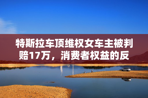 特斯拉车顶维权女车主被判赔17万，消费者权益的反思与展望