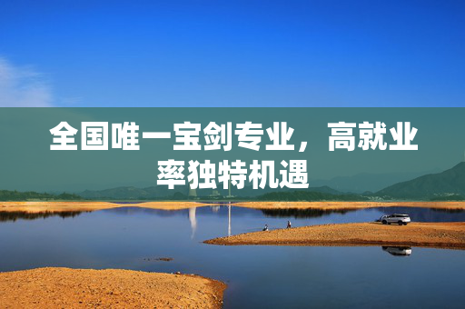 全国唯一宝剑专业，高就业率独特机遇