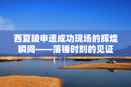 西夏陵申遗成功现场的辉煌瞬间——落锤时刻的见证