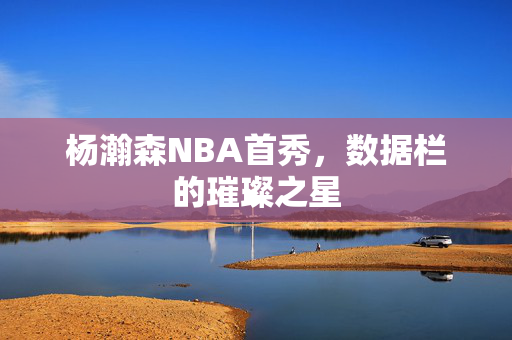 杨瀚森NBA首秀，数据栏的璀璨之星
