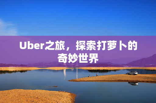 Uber之旅，探索打萝卜的奇妙世界