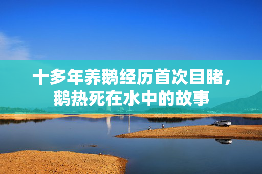 十多年养鹅经历首次目睹，鹅热死在水中的故事