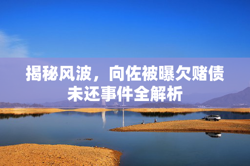 揭秘风波，向佐被曝欠赌债未还事件全解析