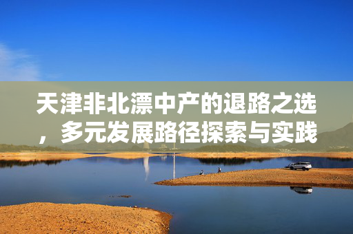 天津非北漂中产的退路之选，多元发展路径探索与实践