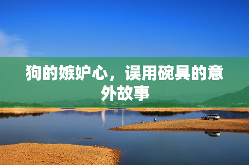 狗的嫉妒心，误用碗具的意外故事