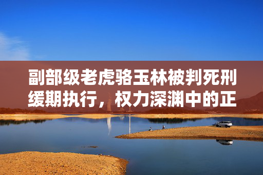 副部级老虎骆玉林被判死刑缓期执行，权力深渊中的正义胜利