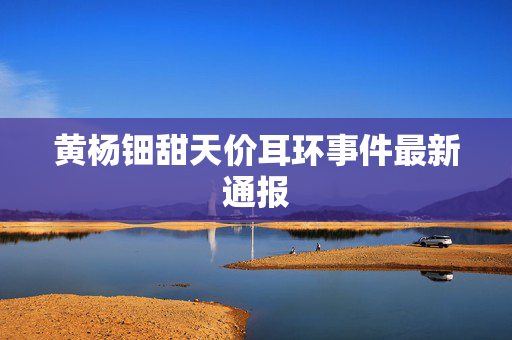 黄杨钿甜天价耳环事件最新通报