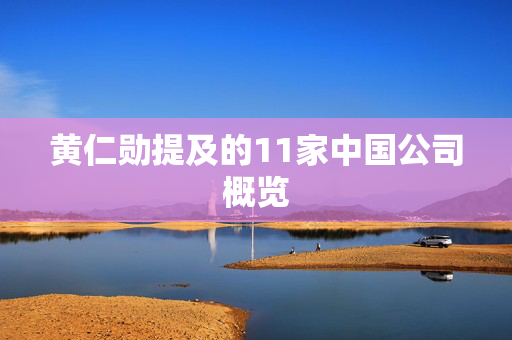 黄仁勋提及的11家中国公司概览