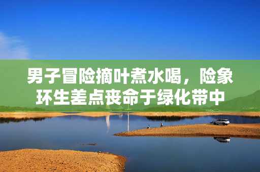 男子冒险摘叶煮水喝，险象环生差点丧命于绿化带中