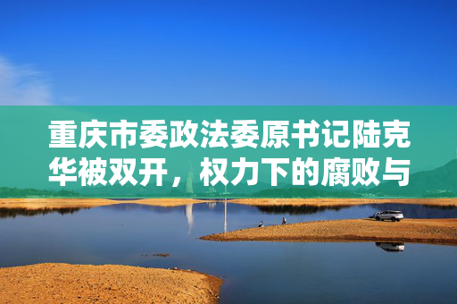 重庆市委政法委原书记陆克华被双开，权力下的腐败与责任之重