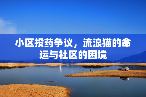 小区投药争议，流浪猫的命运与社区的困境