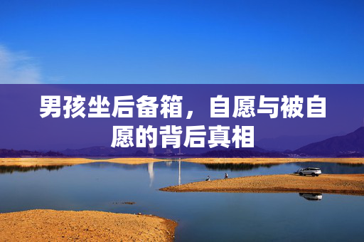 男孩坐后备箱，自愿与被自愿的背后真相