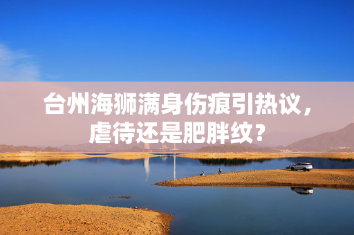 台州海狮满身伤痕引热议，虐待还是肥胖纹？