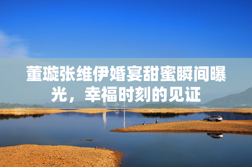 董璇张维伊婚宴甜蜜瞬间曝光，幸福时刻的见证