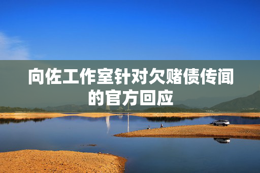 向佐工作室针对欠赌债传闻的官方回应