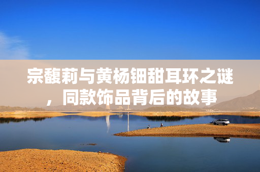 宗馥莉与黄杨钿甜耳环之谜，同款饰品背后的故事