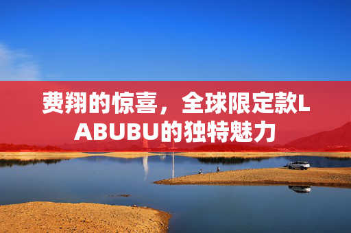 费翔的惊喜，全球限定款LABUBU的独特魅力