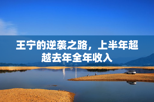 王宁的逆袭之路，上半年超越去年全年收入