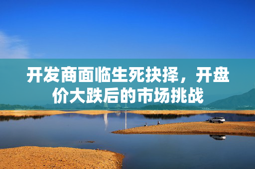 开发商面临生死抉择，开盘价大跌后的市场挑战