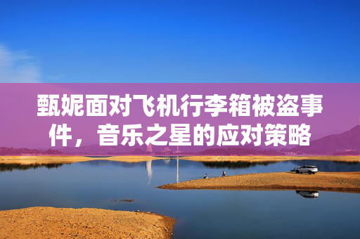甄妮面对飞机行李箱被盗事件，音乐之星的应对策略