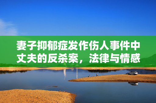 妻子抑郁症发作伤人事件中丈夫的反杀案，法律与情感的交织