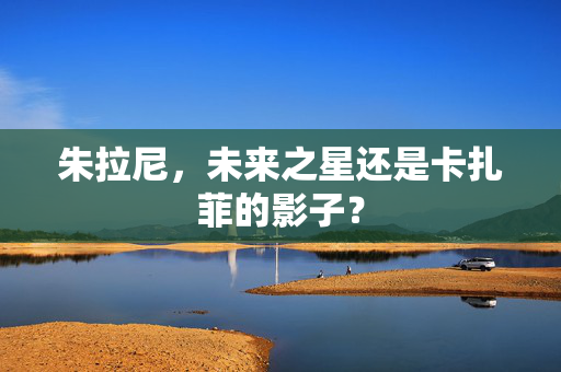 朱拉尼，未来之星还是卡扎菲的影子？