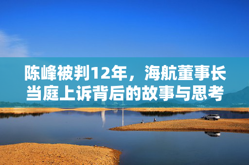 陈峰被判12年，海航董事长当庭上诉背后的故事与思考